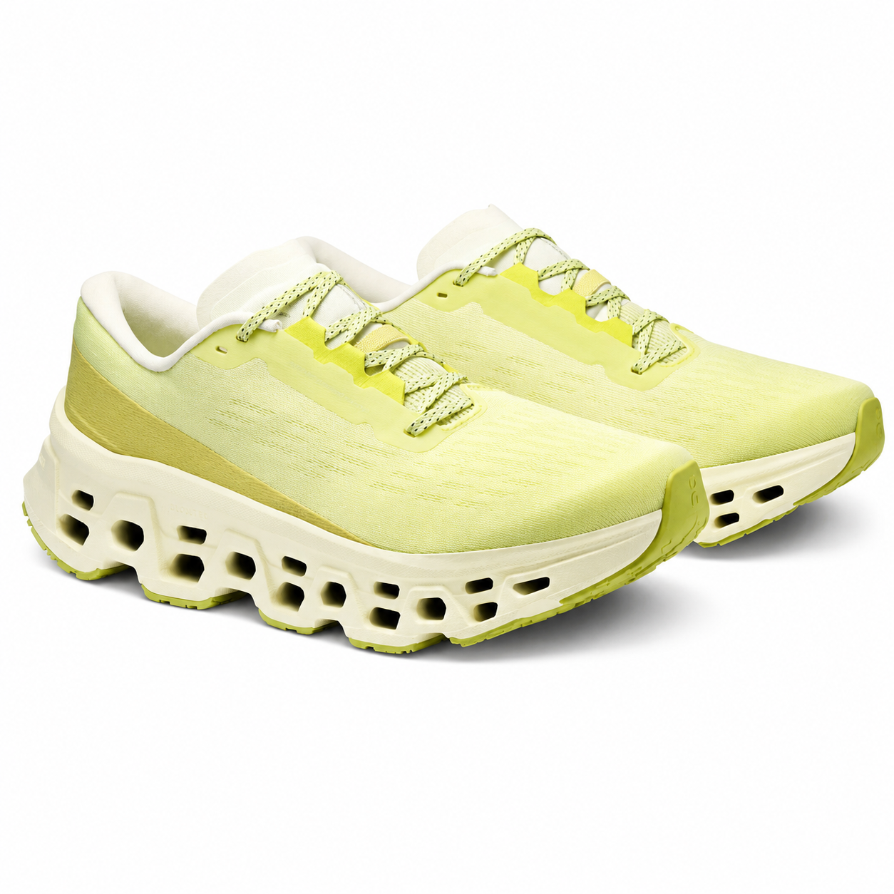 Limelight | Seedling